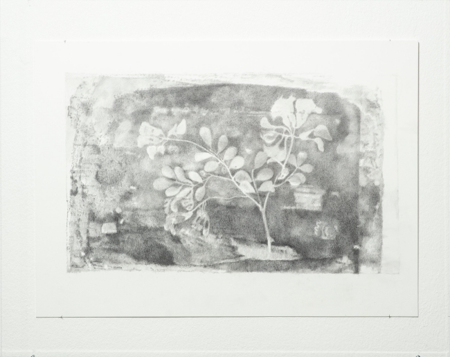 Gerhard Faulhaber